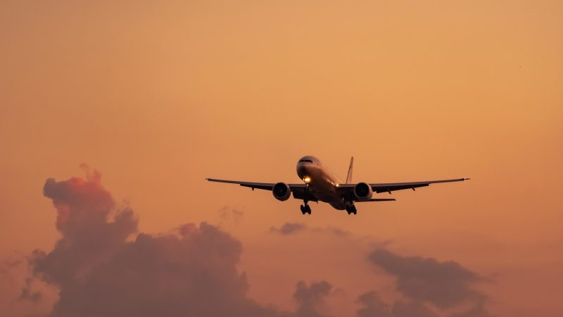 holiday checklist petsittersnearme.co.za