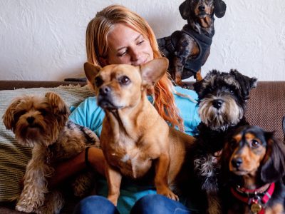 Mary Puppins Doggy Daycare & Hotel, Pet Sitting & Pet Boarding