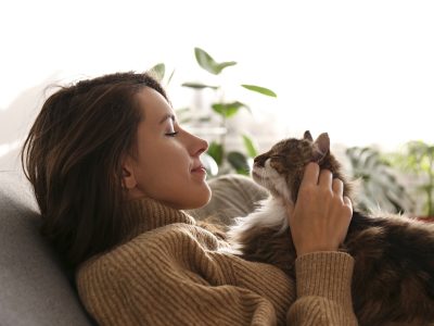 Pawfect Pet Care - (Pet Sitter in Johannesburg)