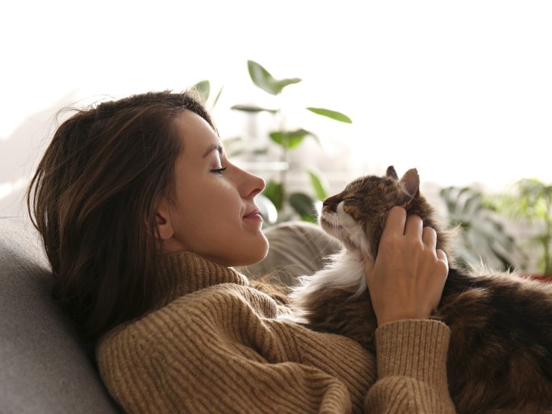 Pawfect Pet Care - (Pet Sitter in Johannesburg)
