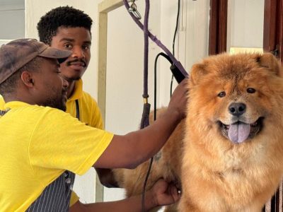 Paws For Thought Kennels Cattery, Grooming Parlour (pet sitters in Durban and surrounds)