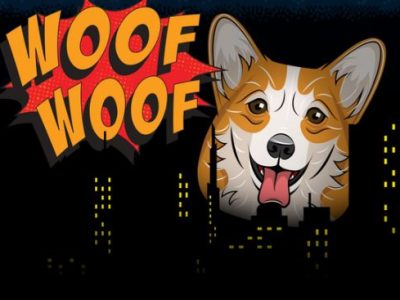 SUPERWOOF Dog Hotel & Daycare (pet sitters in cape town)